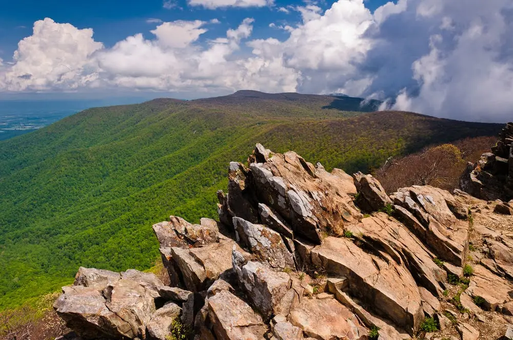 Raleigh to Brevard Road Trip Section Image