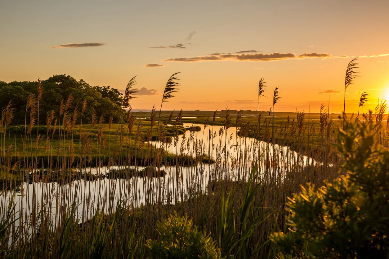 Lily Bay State Park