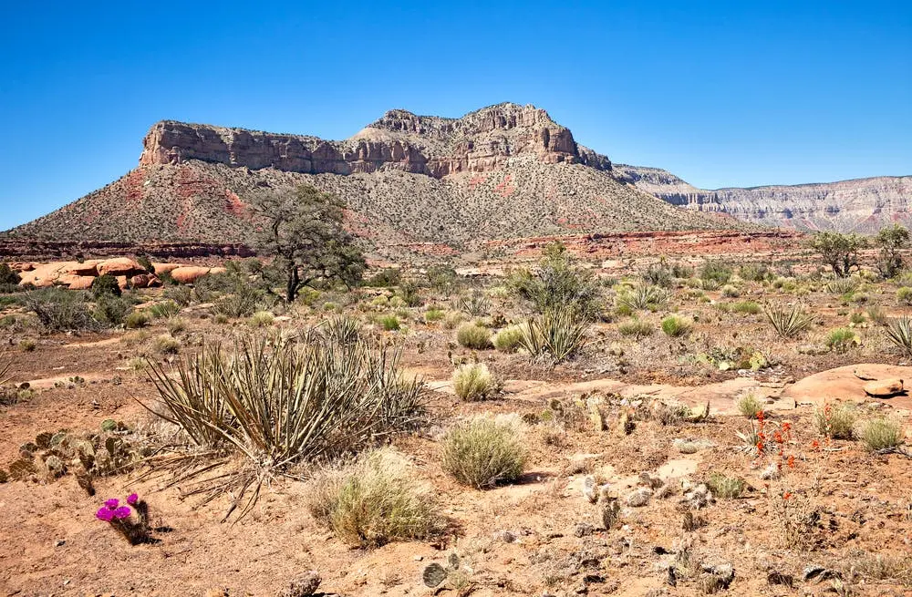 Grand Canyon–Parashant National Monument