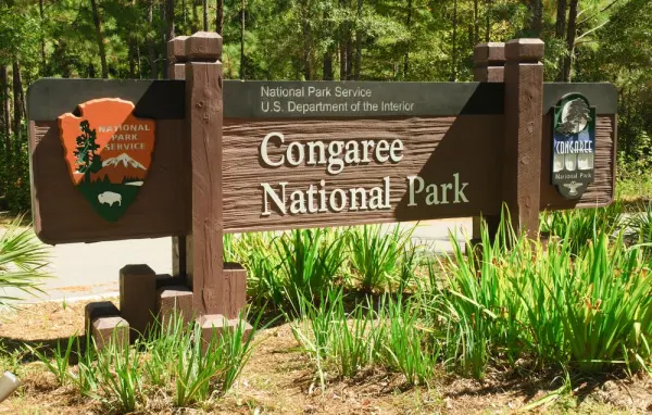 RV Resorts & Campsites near Congaree National Park