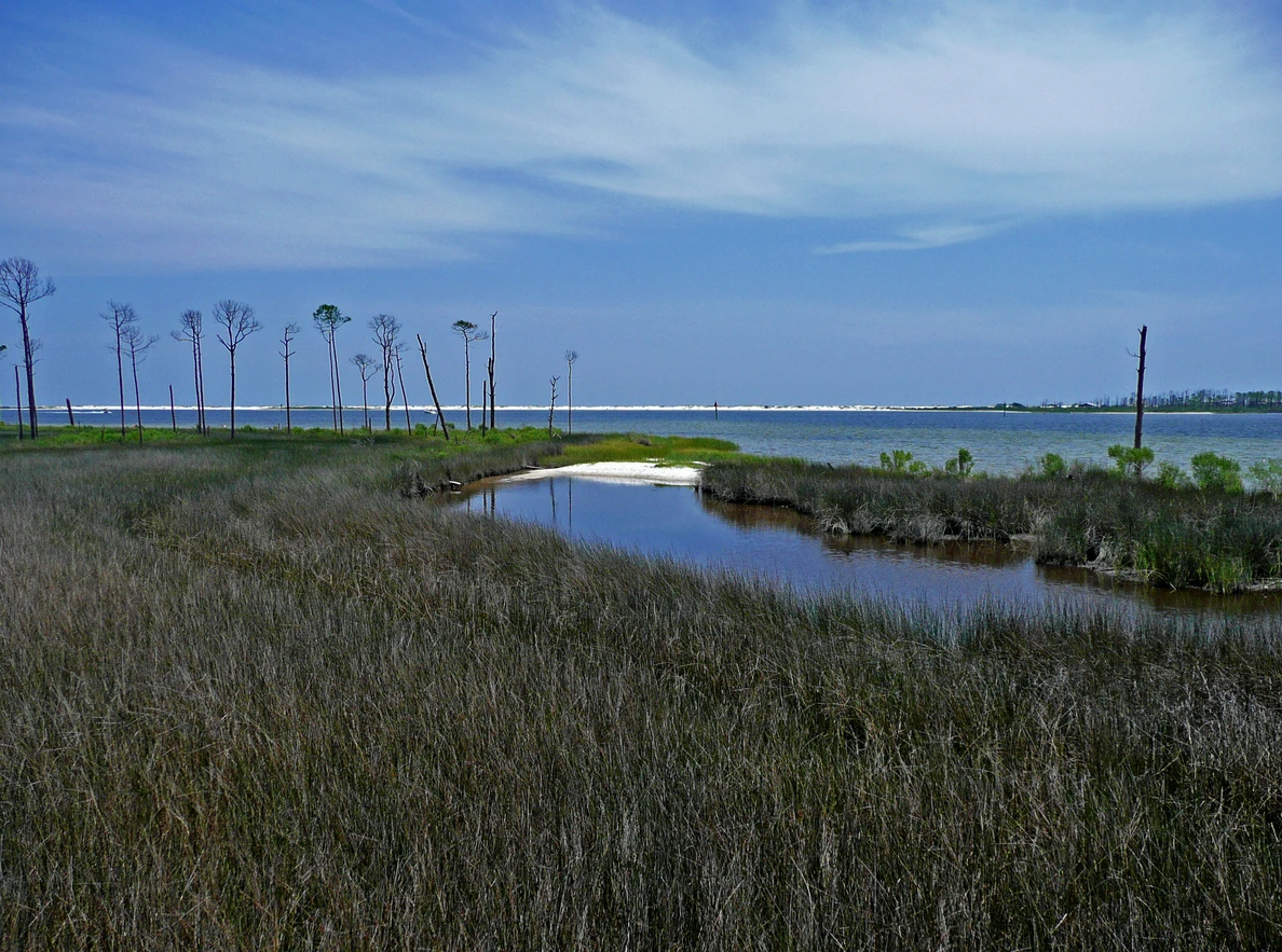 Big Lagoon State Park