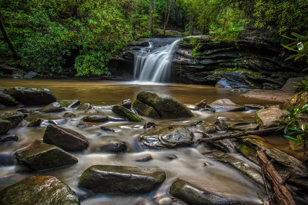 Greenville to Versailles Road Trip Section Image