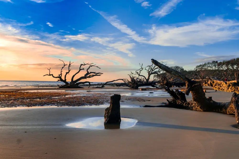 Columbia to St. Augustine Road Trip Section Image