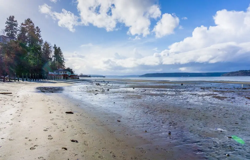 Portland to Bellingham Road Trip Section Image