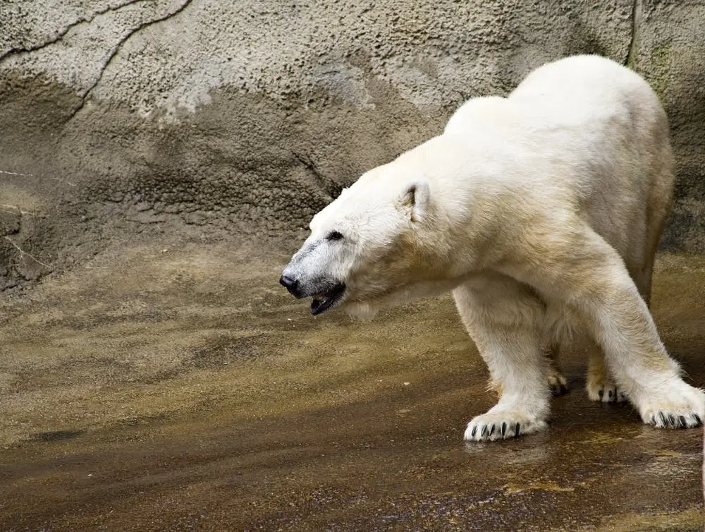 Cleveland to Detroit Road Trip Section Image