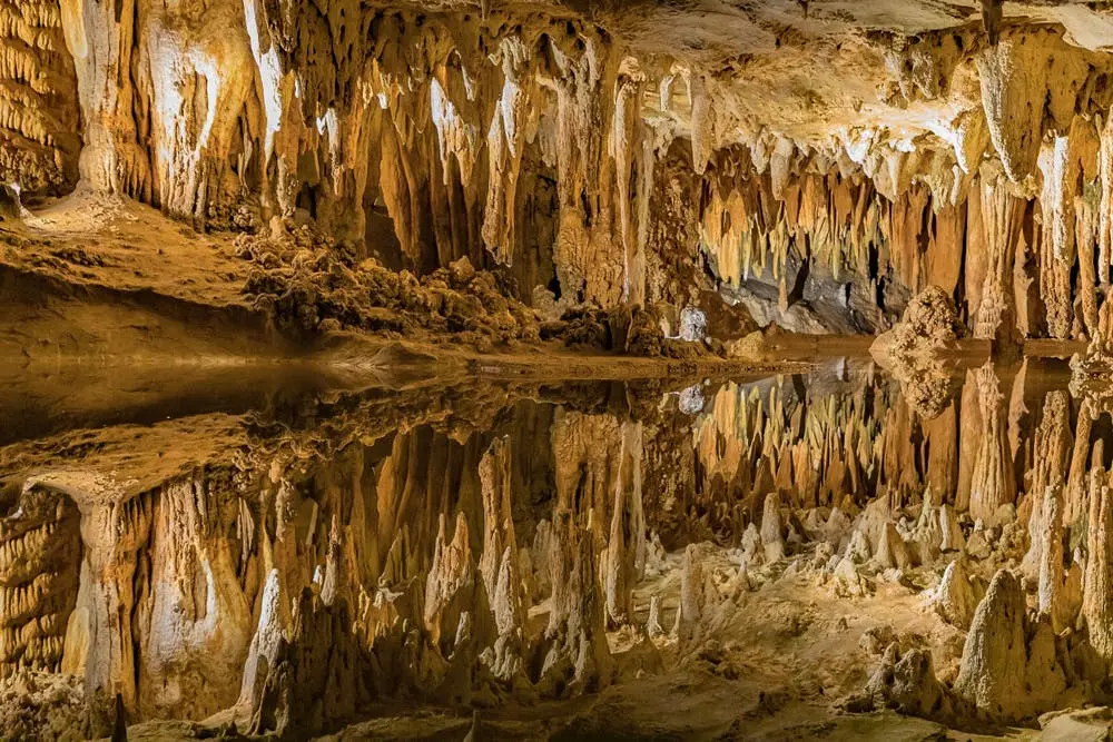 Enterprise to Mount Vernon Road Trip Section Image