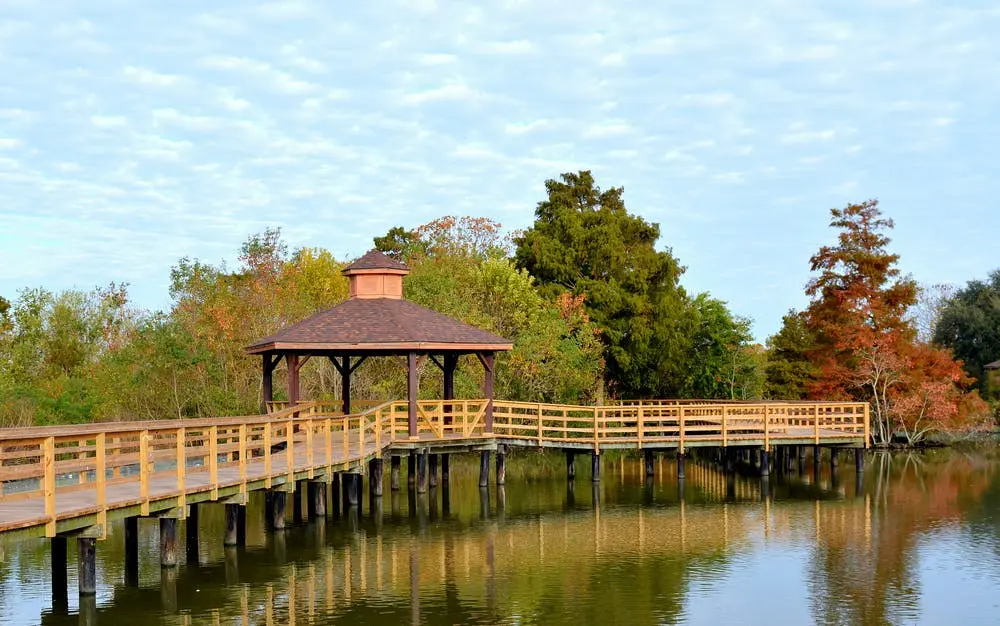 New York to Atlanta Road Trip Section Image