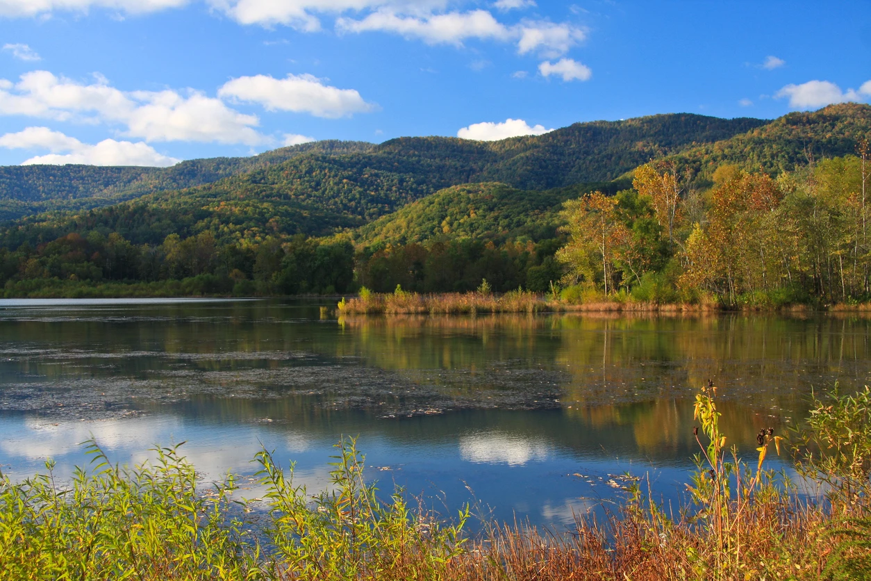 Cove Lake State Park