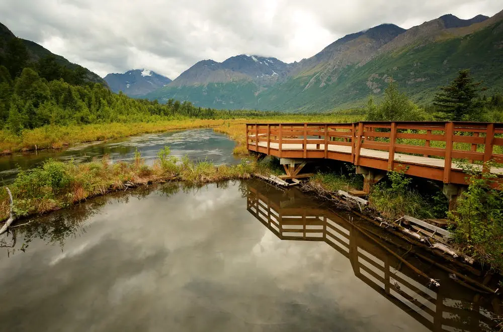 Anchorage to Denali National Park Road Trip Section Image