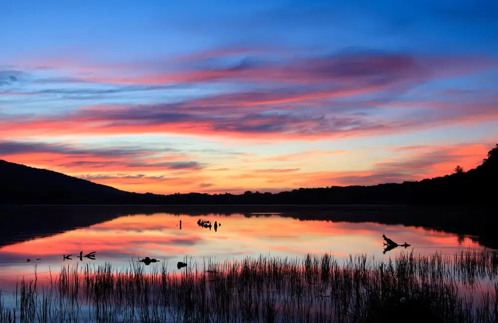 Locust Lake State Park