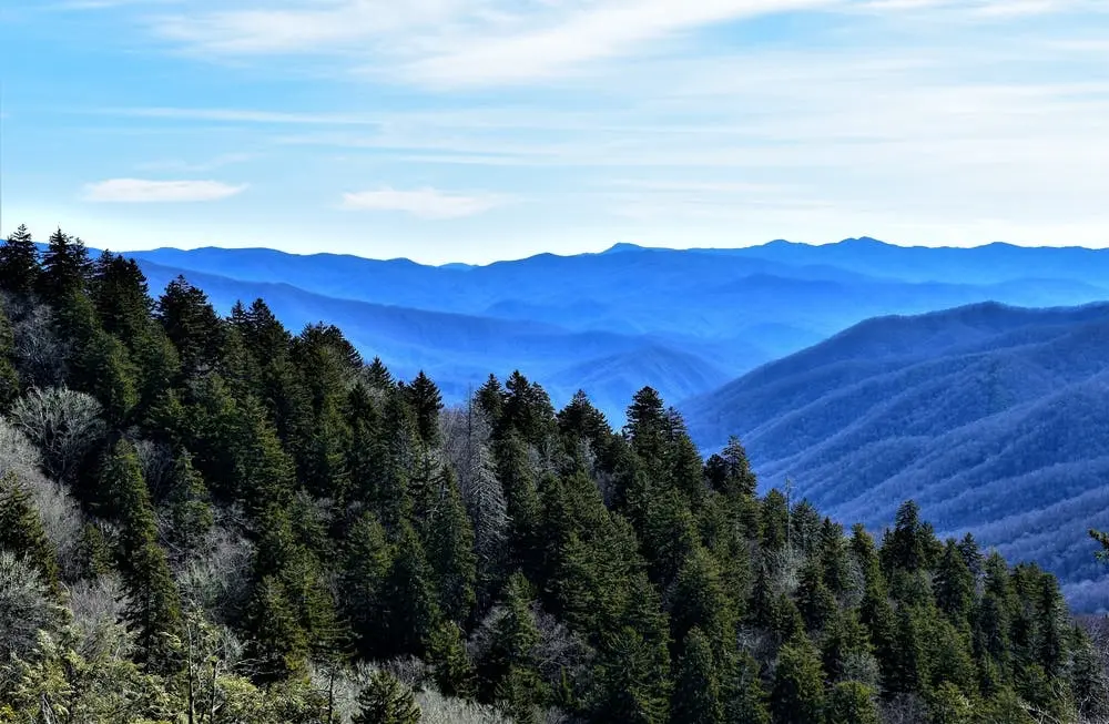 Birmingham to Daytona Beach Road Trip Section Image