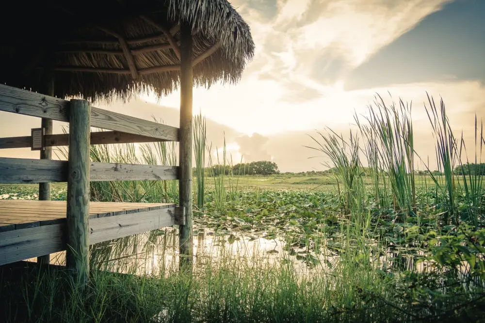 New Orleans to Lake Charles Road Trip Section Image