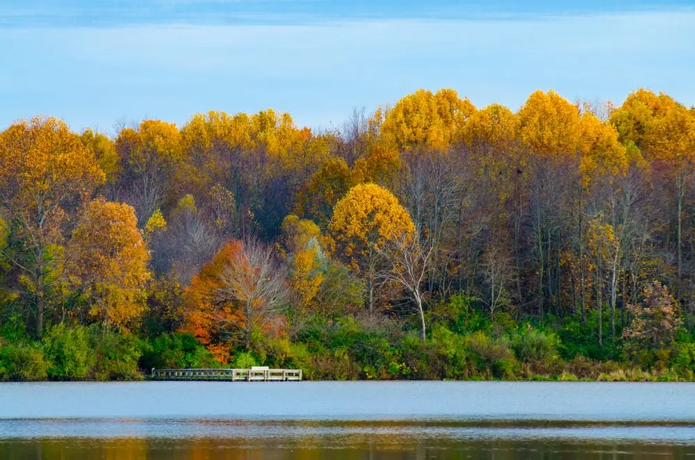 Washington D.C. to Duluth Road Trip Section Image