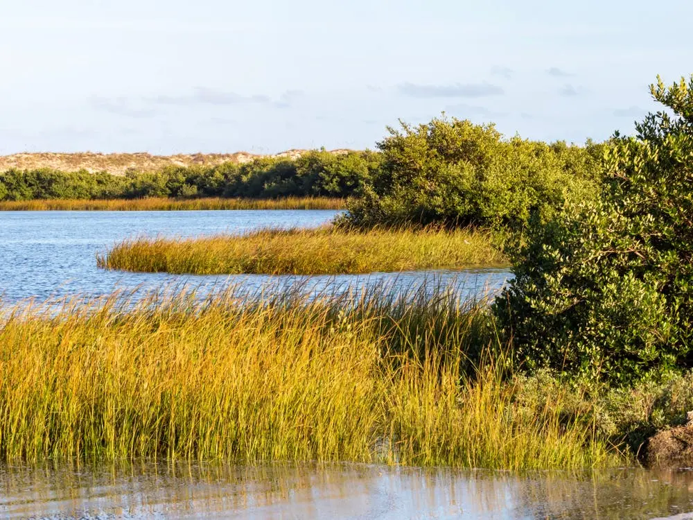 Sarasota to St. Augustine Road Trip Section Image