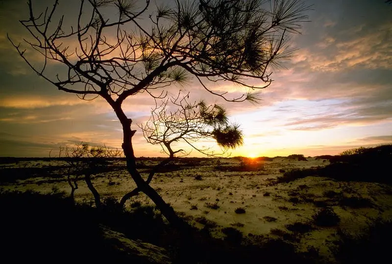 Jacksonville to New Orleans Road Trip Section Image