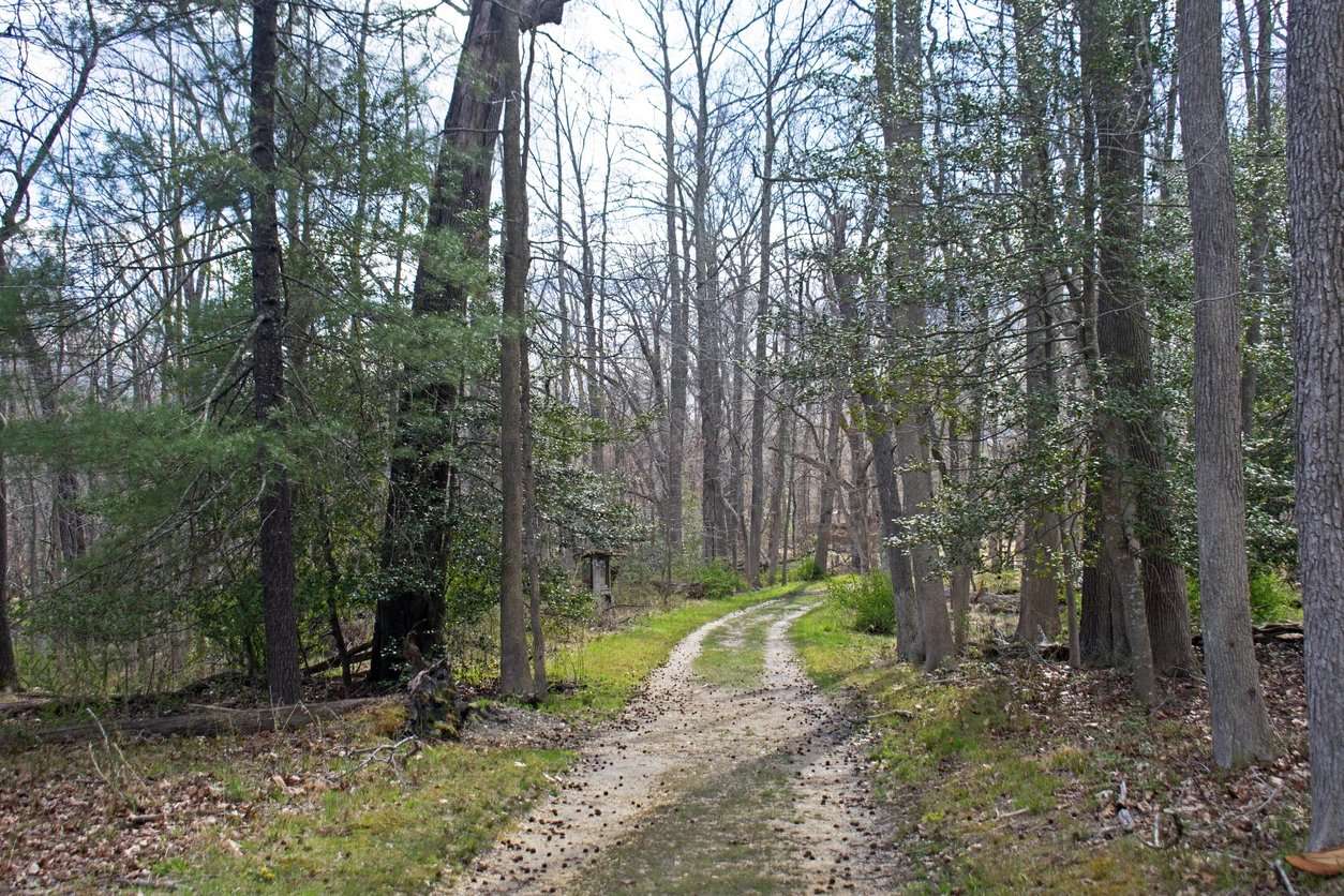 Allaire State Park