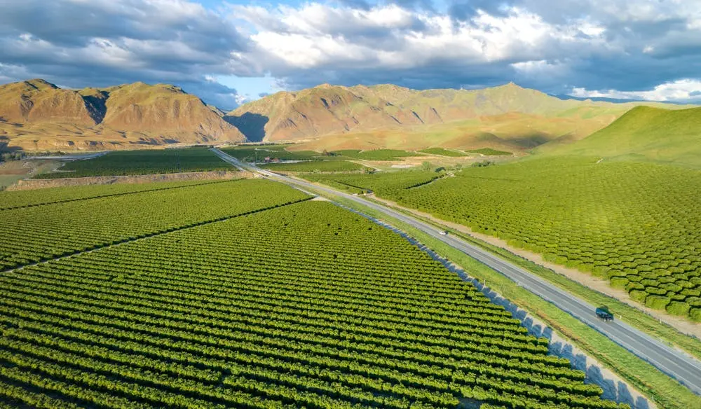 San Jose to Big Bear Lake Road Trip Section Image