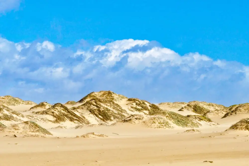 San Jose to Santa Maria Road Trip Section Image