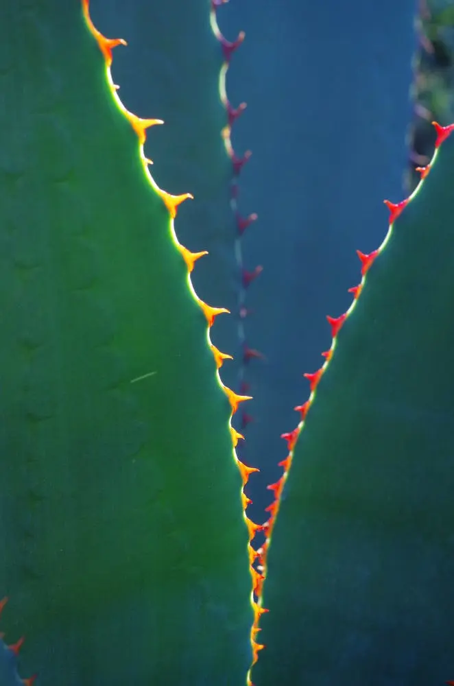 Houston to San Diego Road Trip Section Image