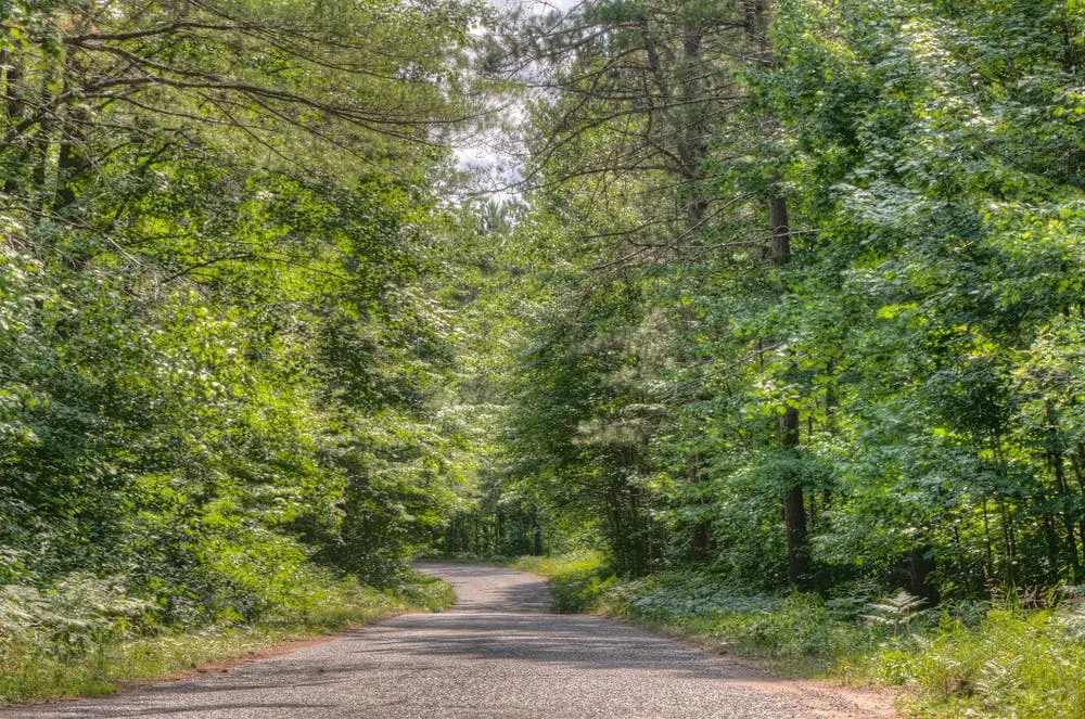 Chequamegon-Nicolet National Forest