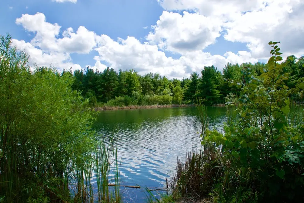 Cincinnati to Great Smoky Mountains Road Trip Section Image