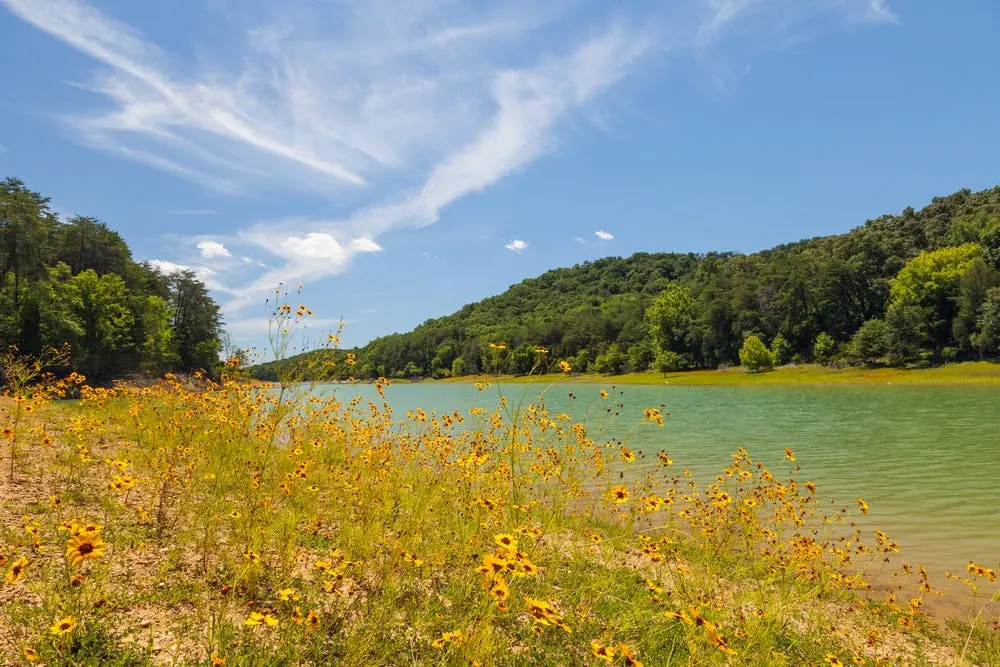 Panther Creek State Park