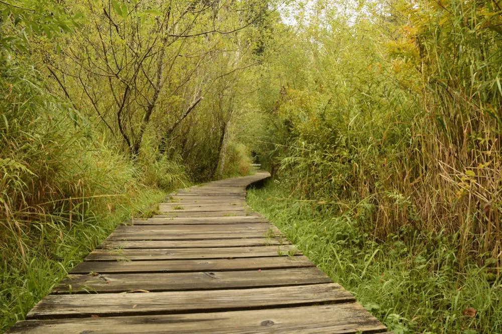 Seattle to Reno Road Trip Section Image