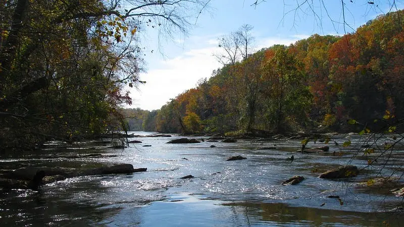 Detroit to Atlanta Road Trip Section Image