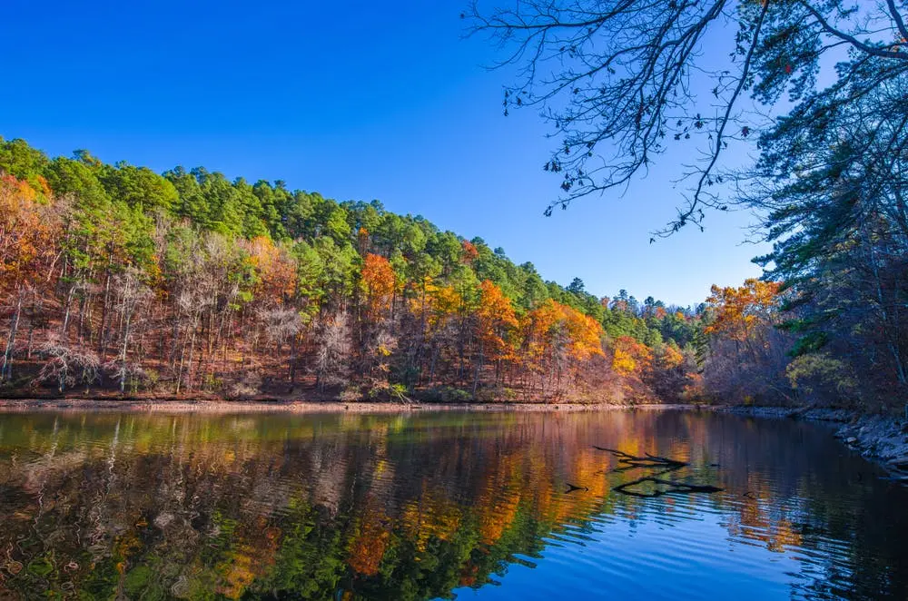 Little Rock to Mark Twain National Forest Road Trip Section Image
