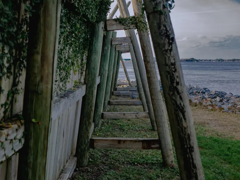 Tallahassee to Montgomery Road Trip Section Image