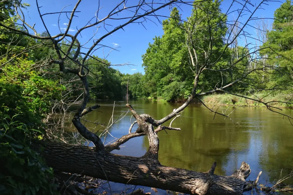 Tippecanoe River State Park