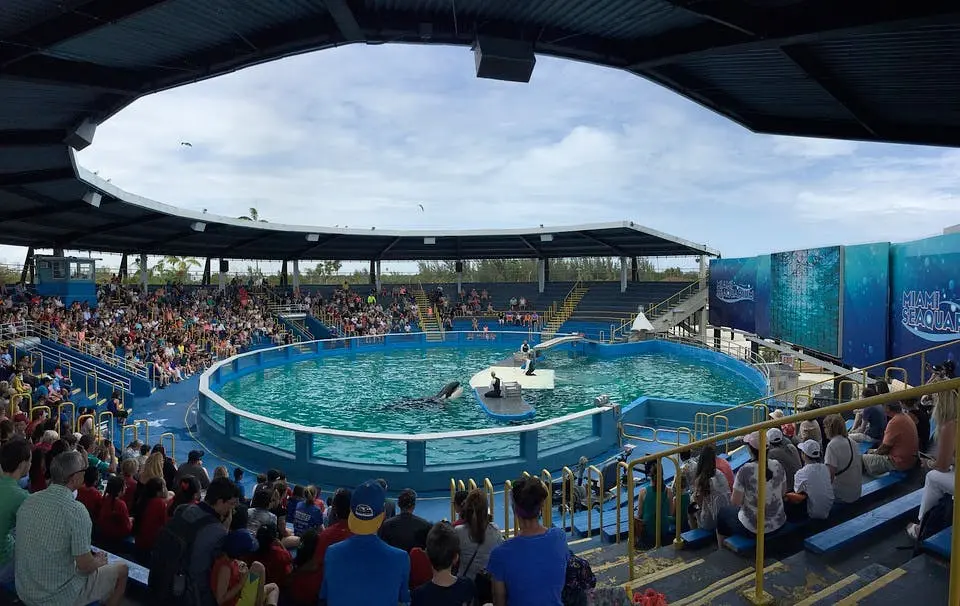 Orlando to Miami Road Trip Section Image