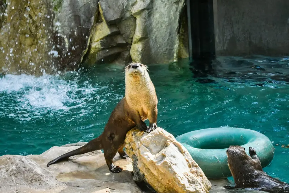 Idaho Falls to Kennewick Road Trip Section Image