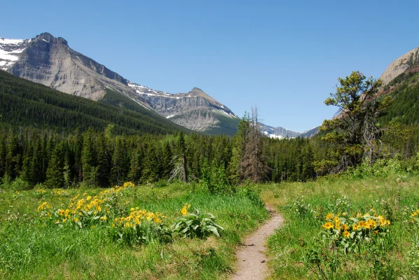 Waterton Lakes National Park Hiking Trails