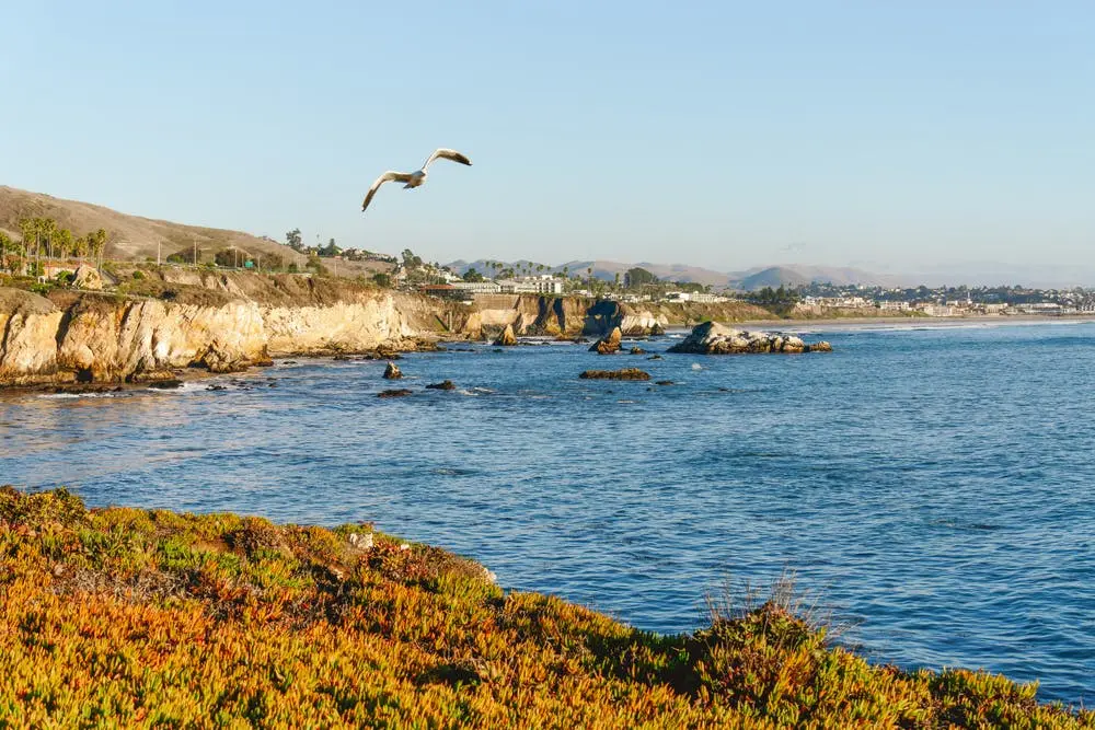 San Jose to Austin Road Trip Section Image