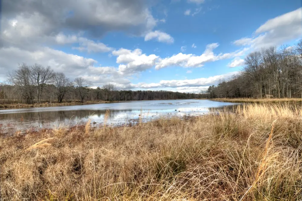 Dover to Branson Road Trip Section Image