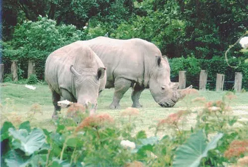 Chicago to Atlanta Road Trip Section Image