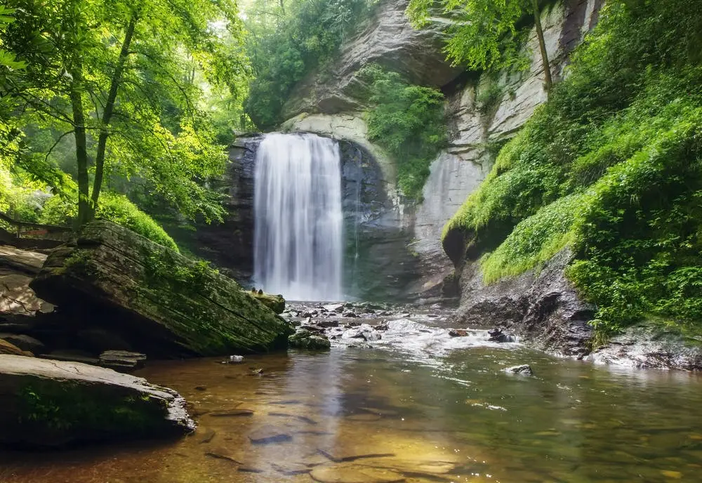 Pisgah National Forest