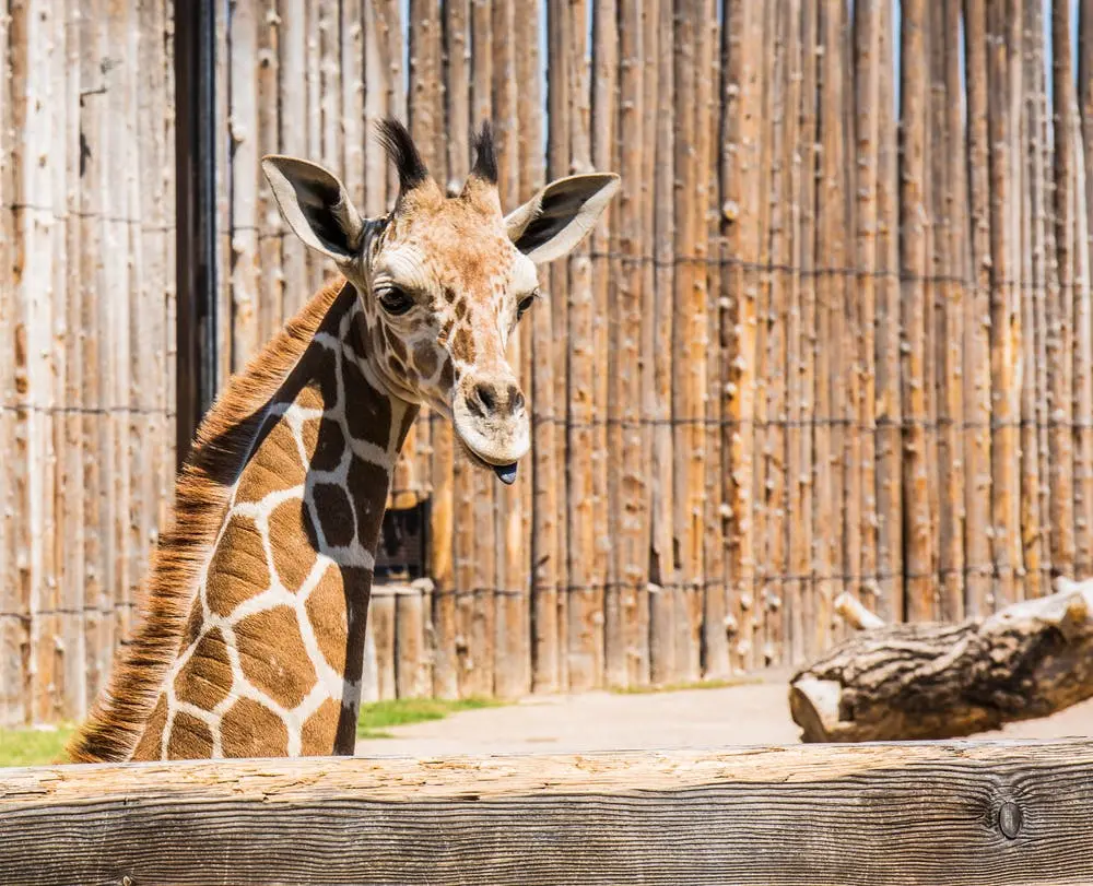 Provo to Albuquerque Road Trip Section Image
