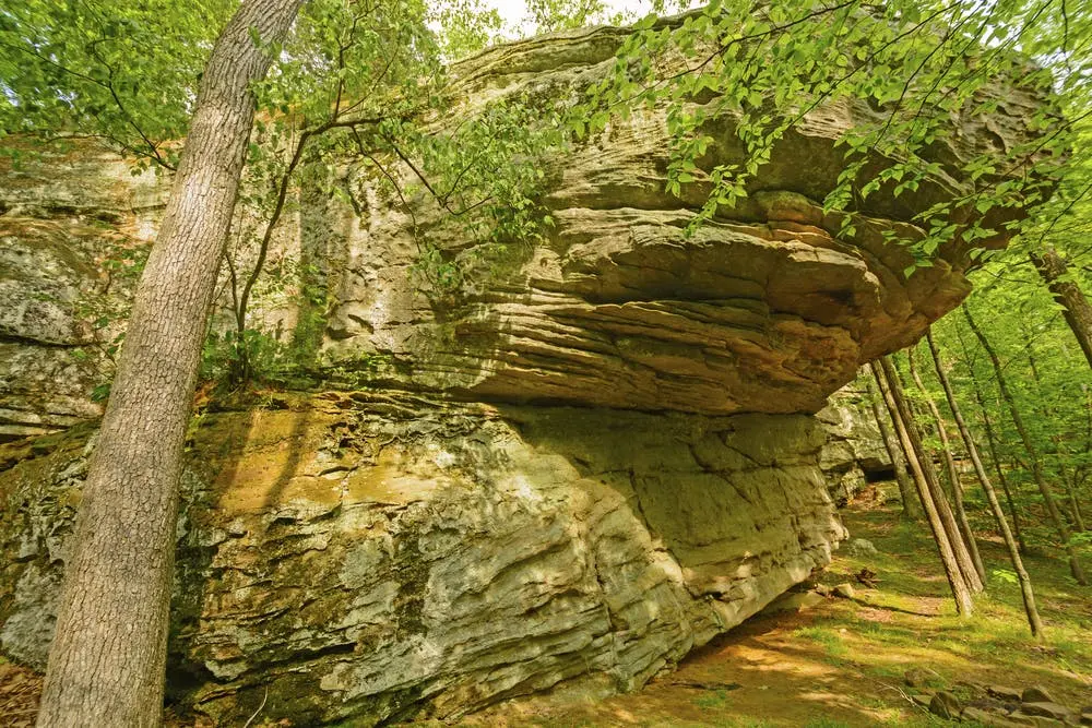 Dixon Springs State Park