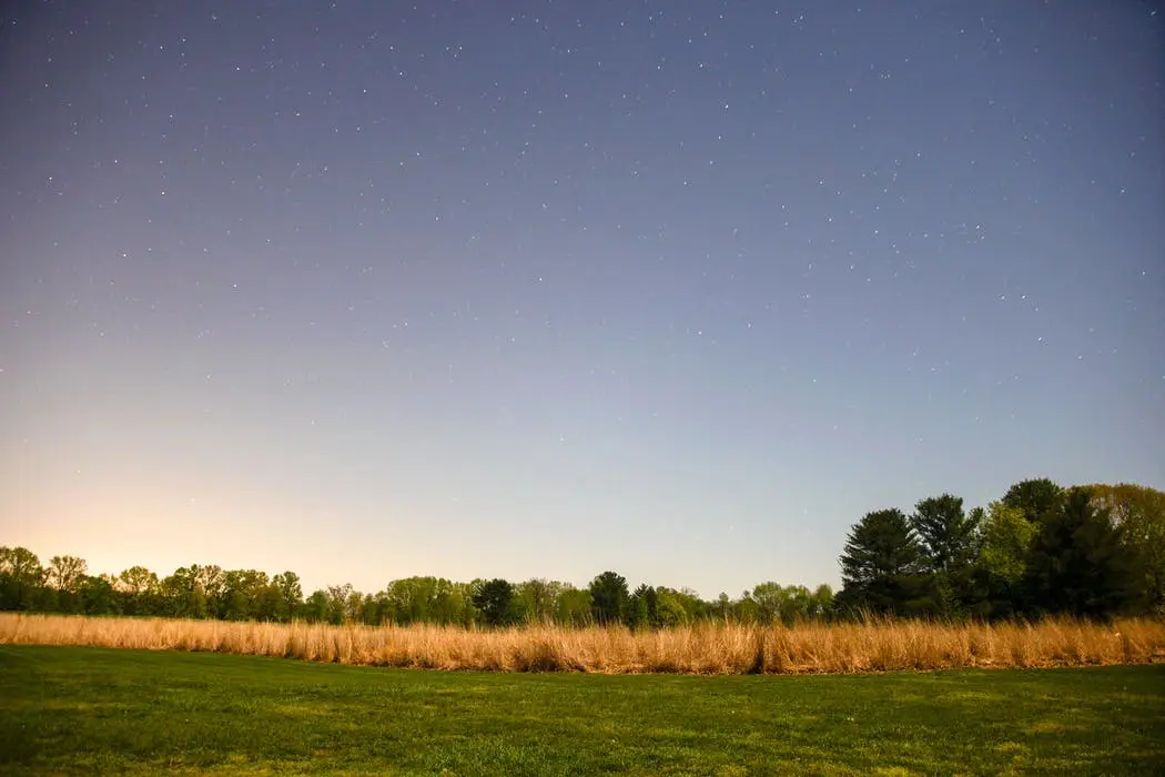 Houston to Nashville Road Trip Section Image
