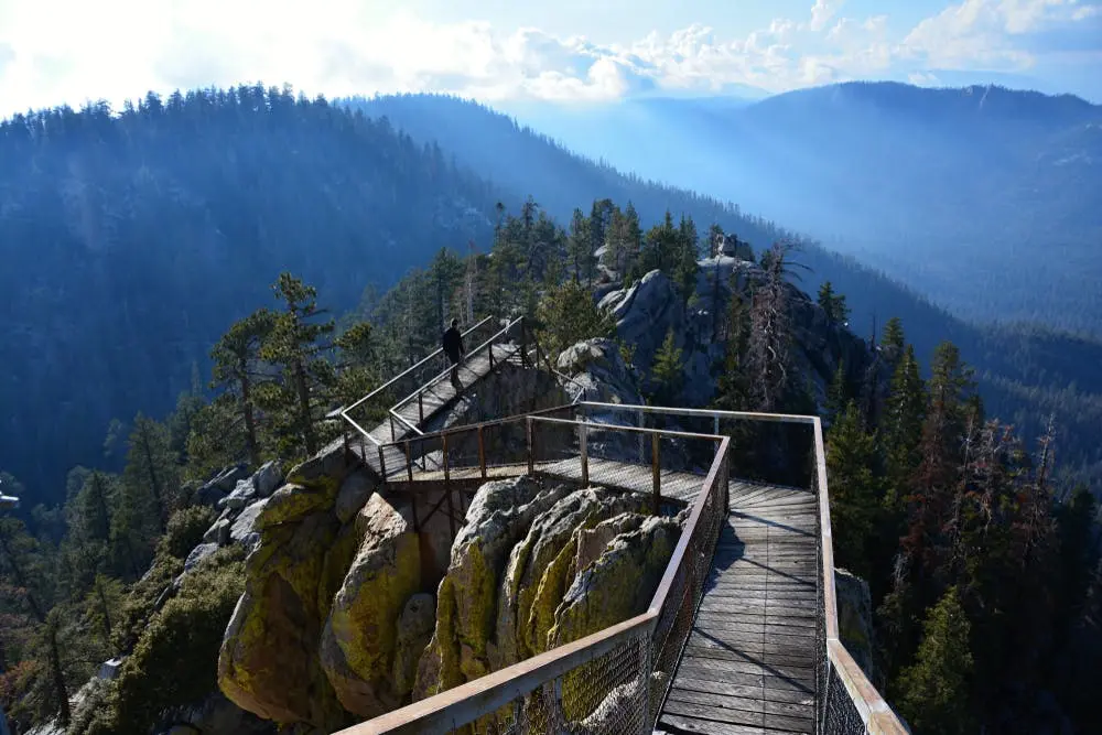 Joshua Tree to Flagstaff Road Trip Section Image