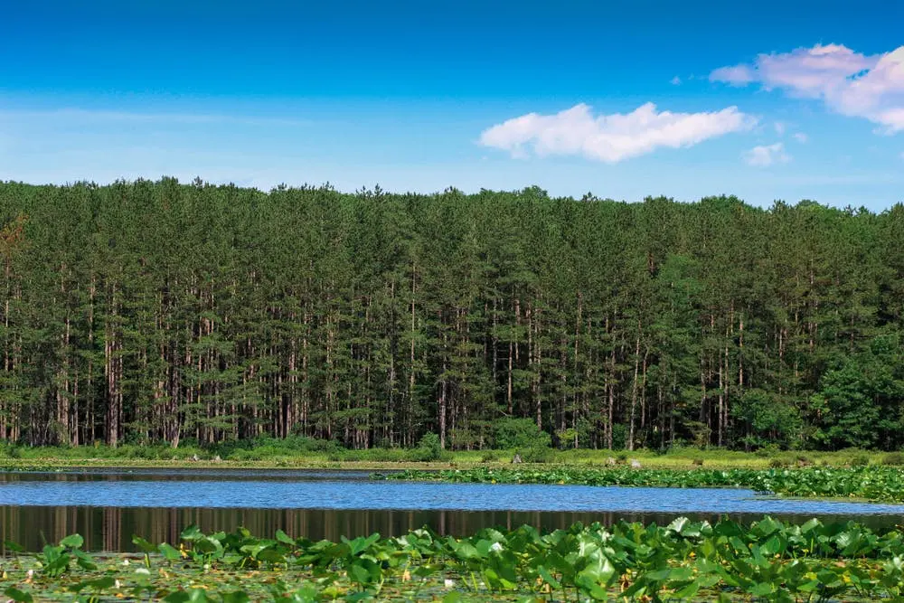 Virginia Beach to Cleveland Road Trip Section Image