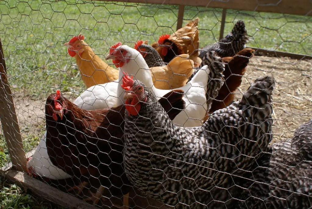 Pittsburgh to Chicago Road Trip Section Image