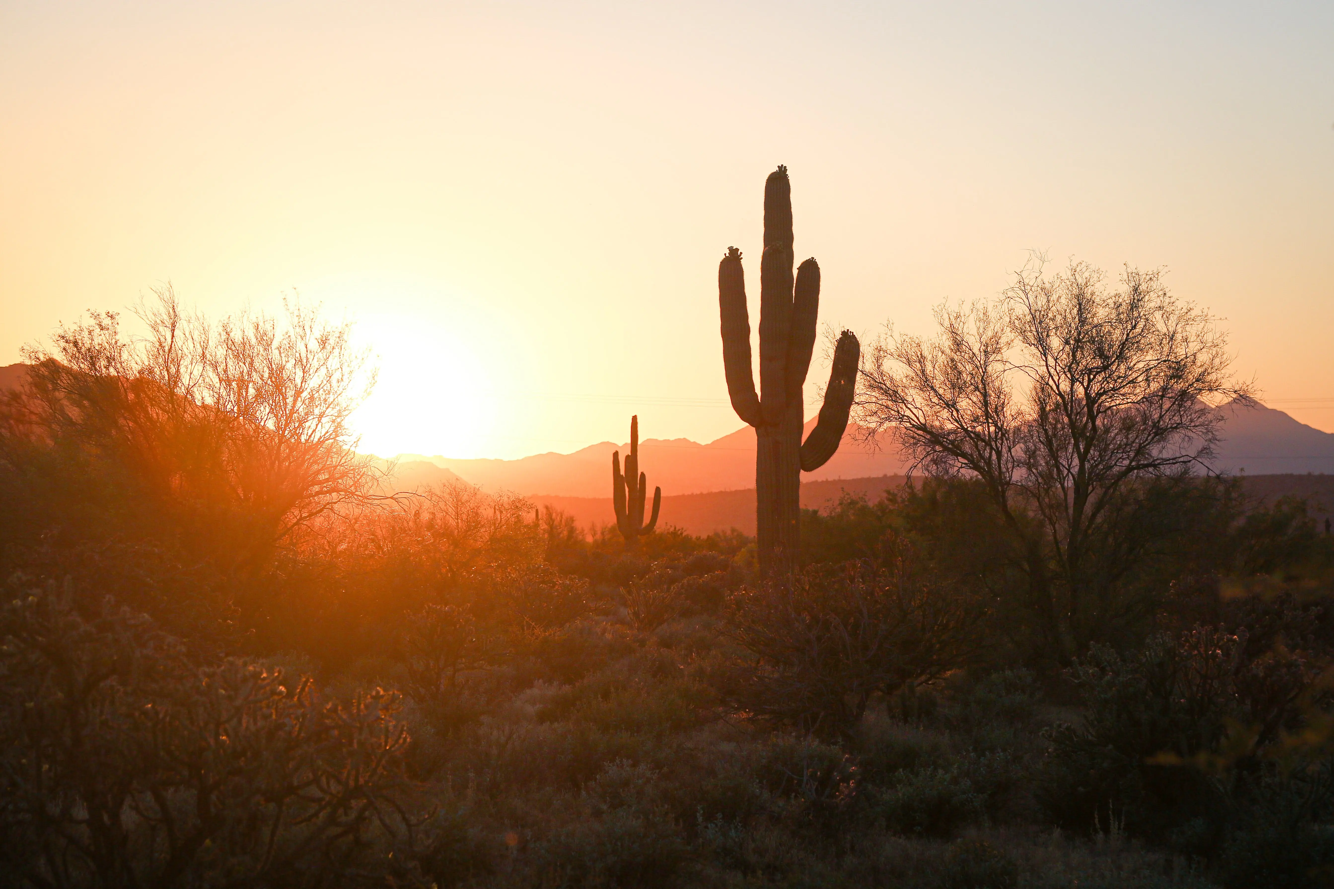 Denver to Phoenix