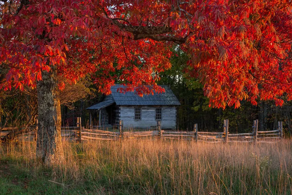 Nashville to Gatlinburg Road Trip Section Image