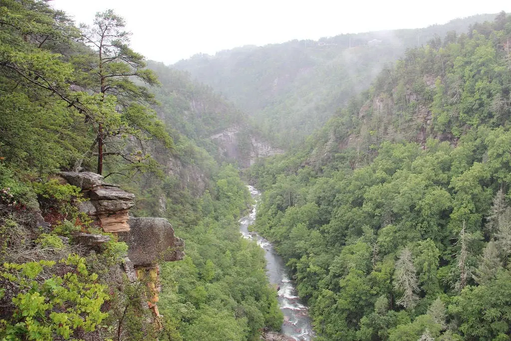 Atlanta to Charlotte Road Trip Section Image