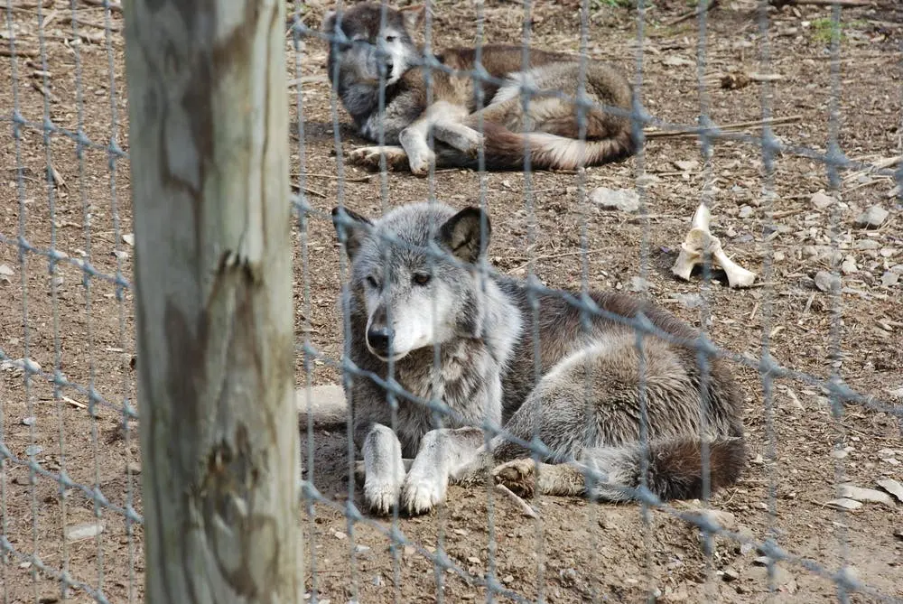 Minneapolis to Atlantic City Road Trip Section Image