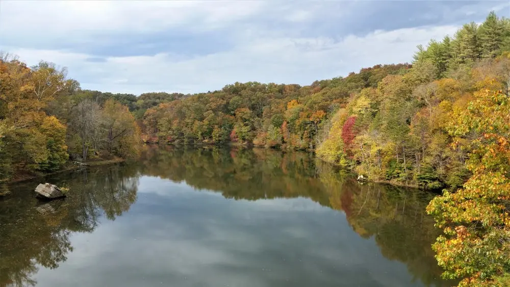 Wayne National Forest