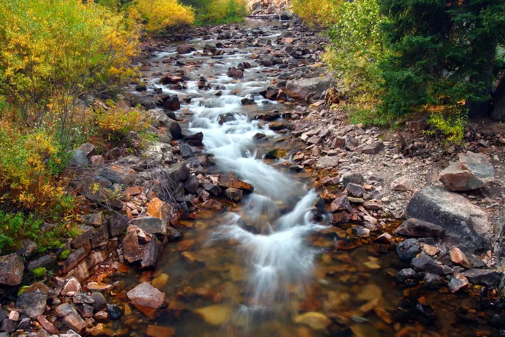 Lewis and Clark National Forest